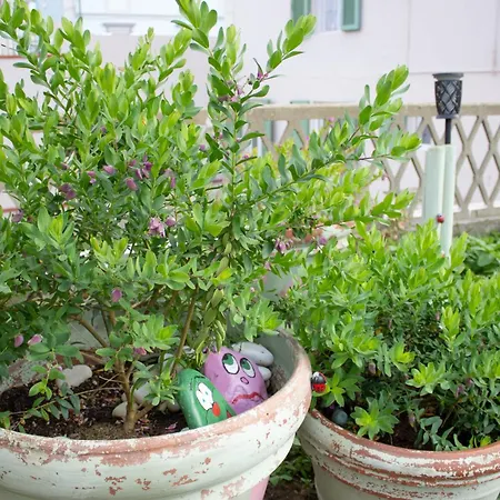 La Coccinella Apartment Marina Di Pisa